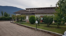 Dettagli